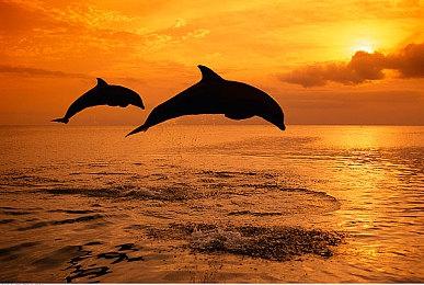 《全面战争：战锤3》2023年路线图 将发布三个大版本更新